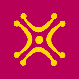 Bandera Labaro Cantabro