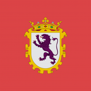 Bandera de León