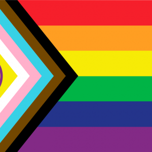 La Bandera Inclusiva o LGTBIQ+ Fabricada en tejido poliéster 115g/m2 especial para utilización exterior y fabricada en España. Fabricamos banderas en cualquier medida, si necesita tamaños distintos de los indicados, quiere personalizarlas o una confección especial, puede consultar precios enviándonos un correo a info@banderasysoportes.com Si necesita que las anillas o las vainas estén colocadas en otra posición, puede indicarlo en las "notas adicionales" en la página de pago o bien enviándonos un correo a info@banderasysoportes.com e indicando el número de pedido.