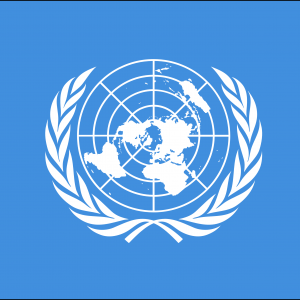 Bandera Naciones Unidas