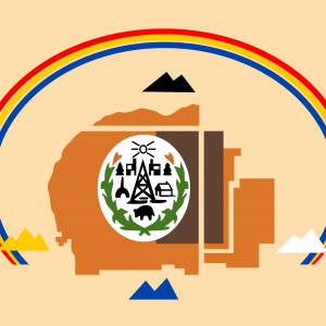 Bandera Nacion Navajo