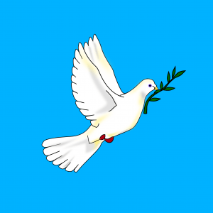 Bandera Paloma De La Paz
