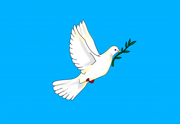 Bandera Paloma De La Paz