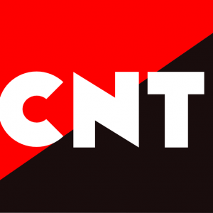 Bandera CNT