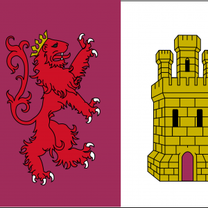 Bandera Provincia de Caceres