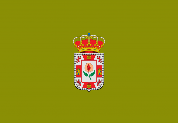Bandera Provincia de Granada