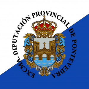 Bandera Provincia de Pontevedra