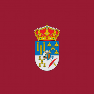 Bandera Provincia de Salamanca
