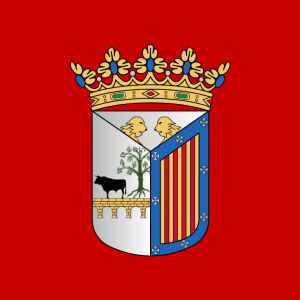 Bandera de Salamanca