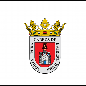 Bandera de Soria