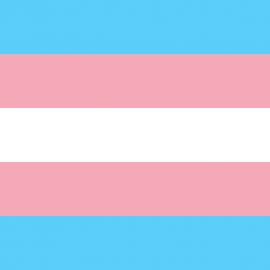 Bandera Transgenero