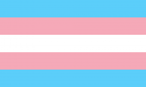 Bandera Transgenero
