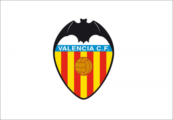 Bandera Valencia C.F.