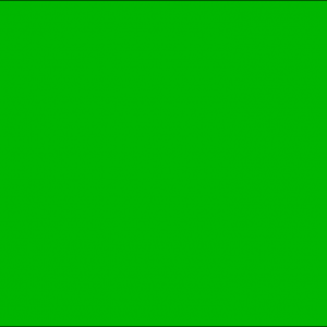 Bandera Verde para Playas