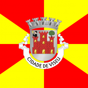 Bandera Viseu