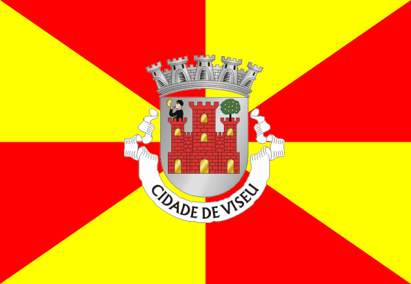 Bandera Viseu