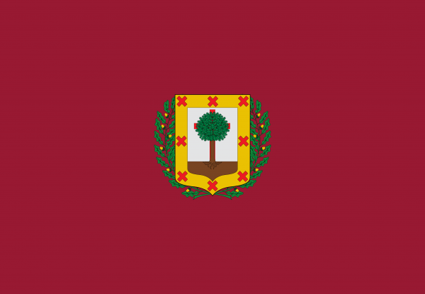 Bandera Provincia de Vizcaya
