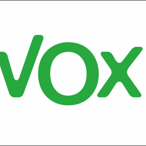 Bandera Vox Blanca