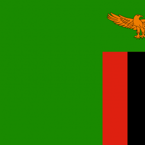 Bandera de Zambia