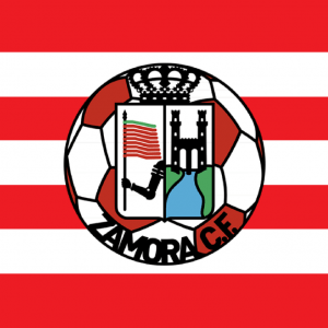 Bandera Zamora Club de Futbol
